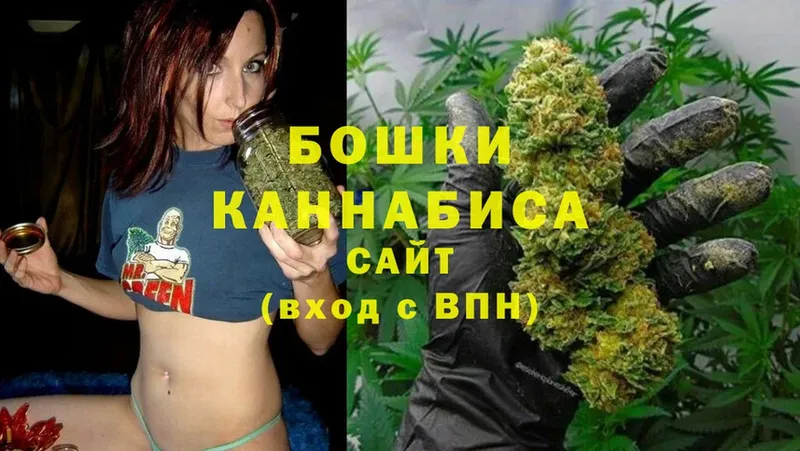 где продают наркотики  Жуковка  Каннабис SATIVA & INDICA 